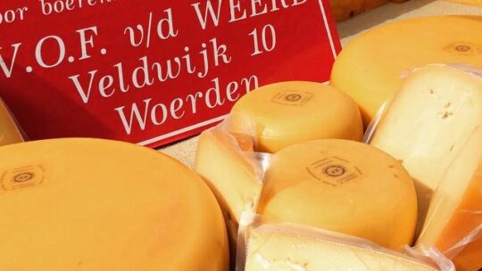 Сырное королество: вкус и происхождение голландского сыра